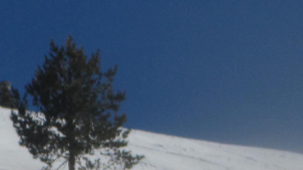 Kackar Pansiyon Yaylalar Zewnętrze zdjęcie